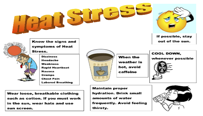 Heat_Stress001