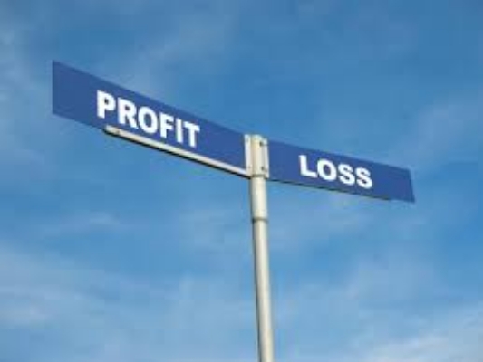 profit loss